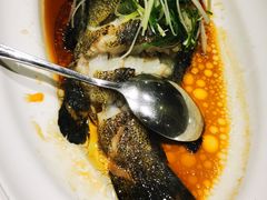 -老洋房花园饭店(绍兴路店)