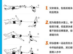 -陕西省游泳跳水馆