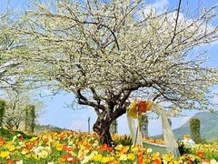 -名花谷生态庄园