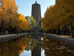 -玲珑塔公园