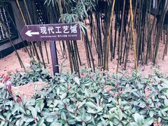 -镇江中国醋文化博物馆