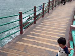 -广东惠东海龟国家级自然保护区