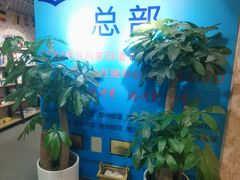 -凯特语言中心·STBJ日语等级考点(慈云寺总校)