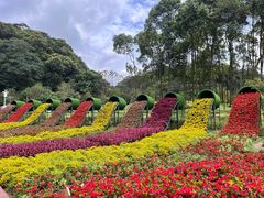 -广州市石门国家森林公园