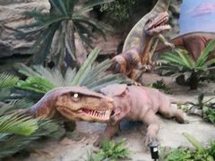 -国家自然博物馆