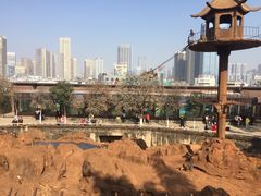 -昆明动物园