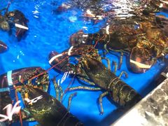 -盒马鲜生(莱蒙都会店)
