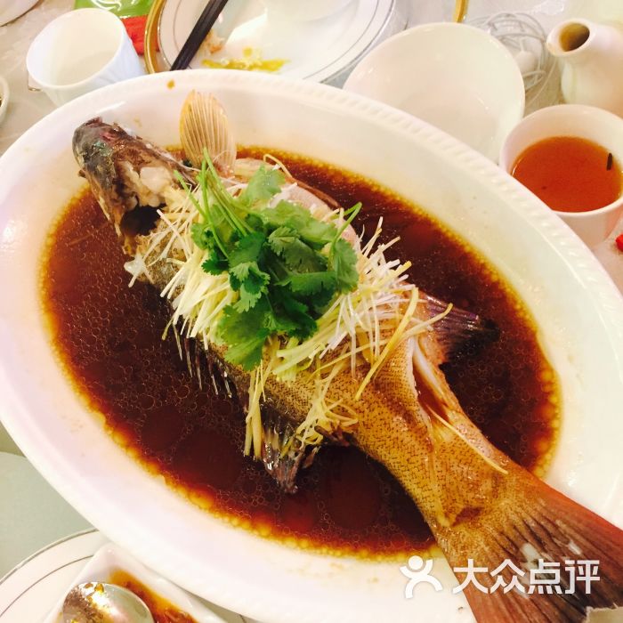 royal dynasty-东星斑图片-黄金海岸美食-大众点评网