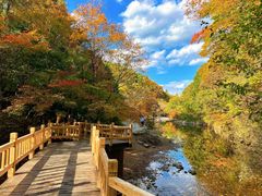 -国家植物园南园