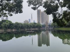 -宝岛公园