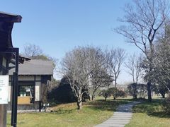 -东园小馆·早茶·淮扬小炒(宋夹城店)