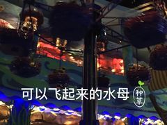 -青岛嘉年华主题乐园