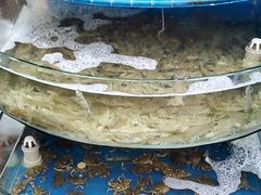 -同道蒸汽海鲜烧烤自助(刘庄夜市店)