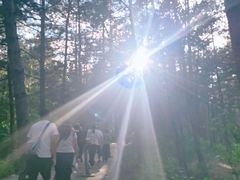 -帽儿山国家森林公园