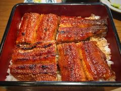 大阪鳗鱼饭-本家 柴藤