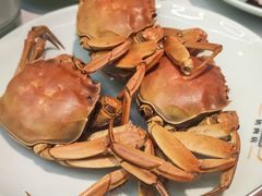 -绿岛港轩海鲜烤肉涮锅自助餐厅