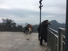 -大金鹰园