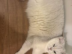 -佳雯宠物医院·皮肤科·内外科(春晓路分院)