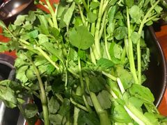 西洋菜-高兴壹锅·潮汕鲜牛肉火锅(良乡梅花庄店)