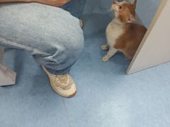 -博特宠物医院24h犬猫全科.骨科·异宠