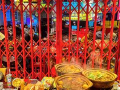 -沙胆彪炭炉牛杂煲(成都玉林店)