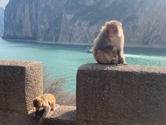 -白帝城·瞿塘峡景区