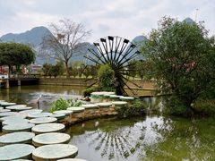 -靖西鹅泉风景区