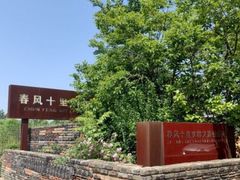 -渡海小渔村.老辈日照菜