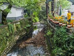 -欣怡茶庄·始于1999(梅家坞店)
