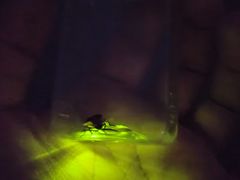 -西涌国际滨海旅游区