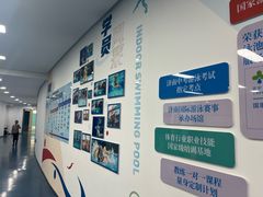 -奥体中心游泳馆