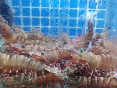 -叶姐海鲜(棋子湾店)