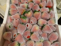 -菜园坝水果市场