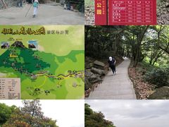 -银瓶山森林公园(谢岗镇)
