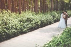 点击看大图 -太古映画婚纱摄影(天河店)