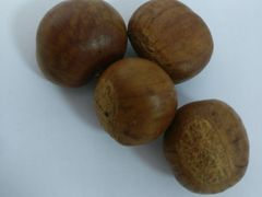 -阿男野栗王(金门路店)