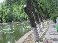 -北陵公园