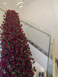 -春田皮肤管理中心品牌旗舰店