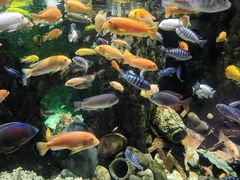 -太平洋海底世界