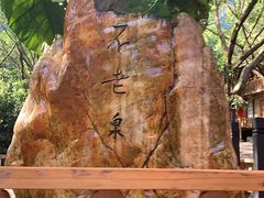 -天门沟九州驿站树上汤泉