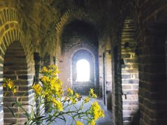 -蟠龙山长城景区