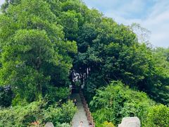 -燕晗山郊野公园