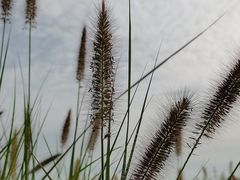 -汉长安城未央宫国家考古遗址公园