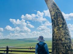 -186彩带河