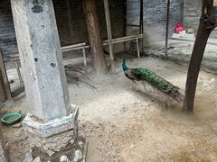 -罔极寺