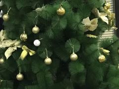 -百济韩国语(虹口校区)