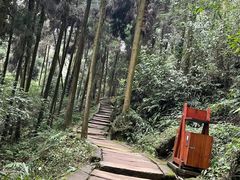 -青城山