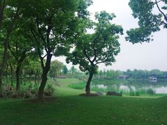 -尚贤河湿地
