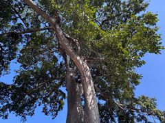 -巍山古城-拱辰楼