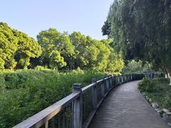 -沙河三洞古桥公园